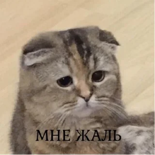 ☹️
