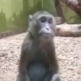 🙁