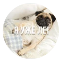 😴