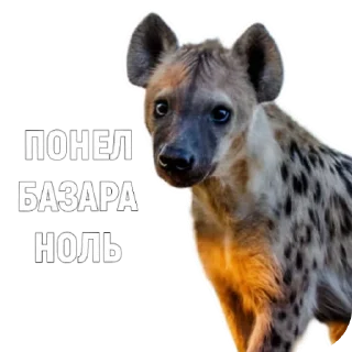 👍