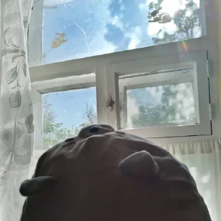 ☀️