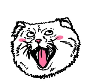 😾