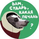 -> @ourpiter
