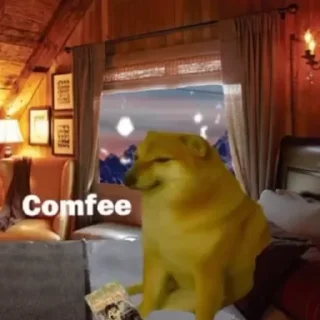 📕