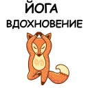 🐱