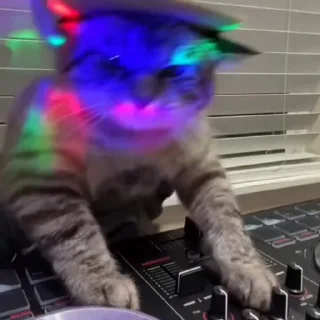 🤩