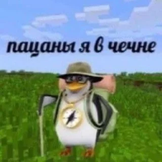 🐧