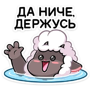 🙋