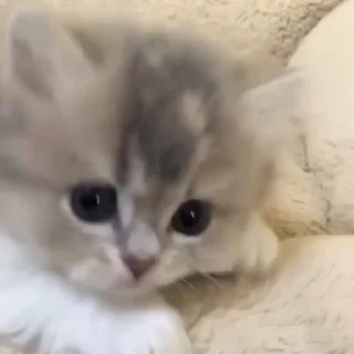 🥰