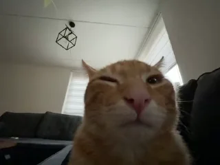 😉