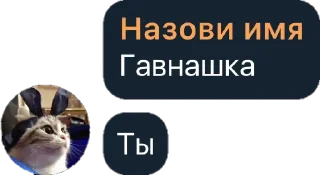 💩