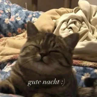 💤