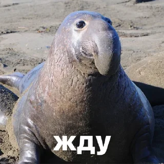 🕐
