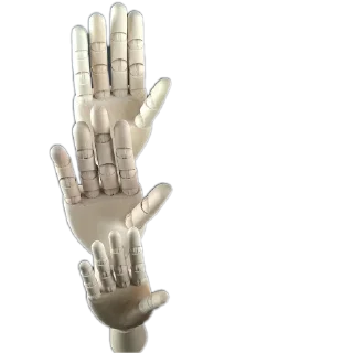 ✋