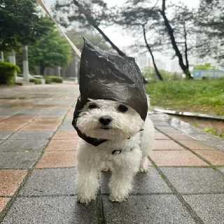 🕴