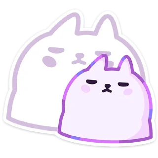🐱