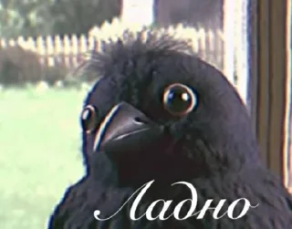 😐