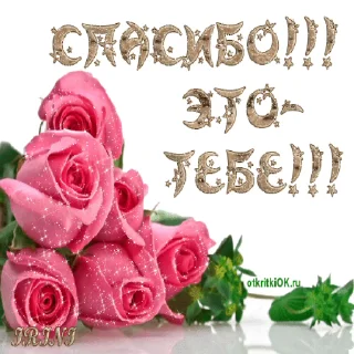 🌷