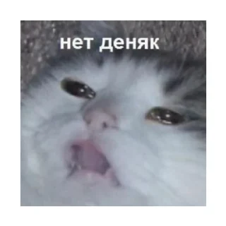 😞