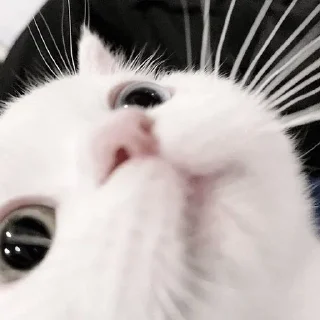 😶
