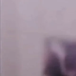 🐈