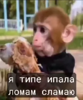 🌟