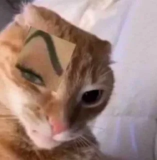 🤨
