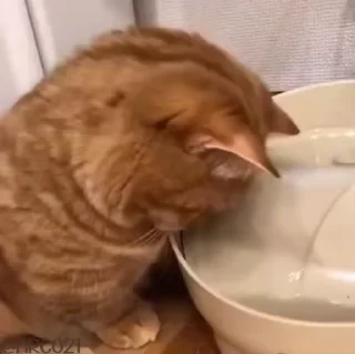 💔