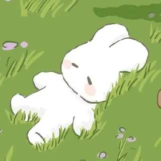 😴