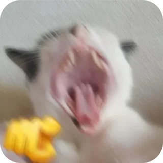 🫵