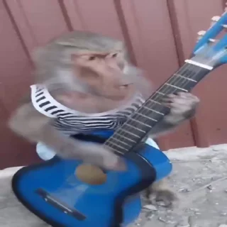 🎸