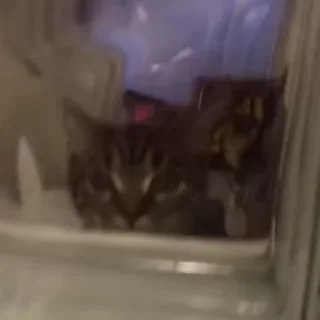 🙄