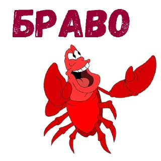 👏