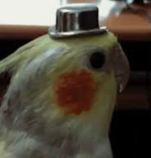 🎩