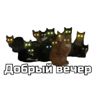 🌙