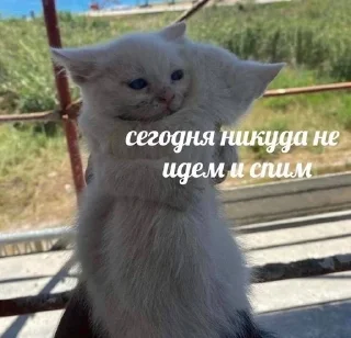 💋