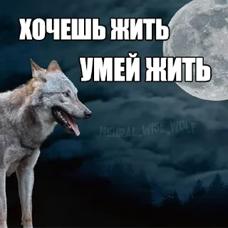 🐺