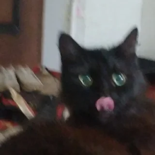 💩