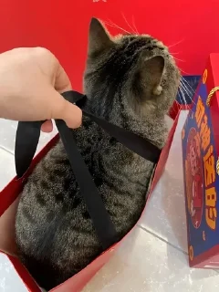 🌟