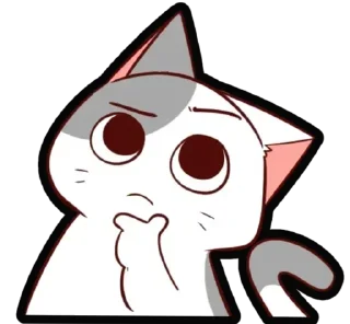 🐈