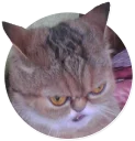 😠