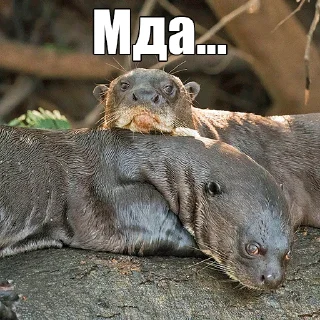 😒