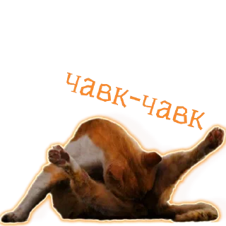 😂