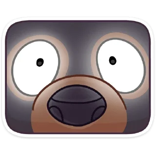😳