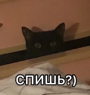 😉