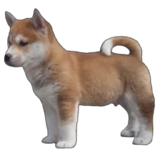 🐕