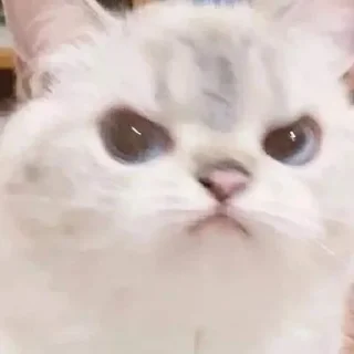 😠