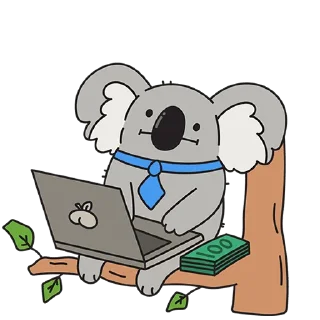 🐨