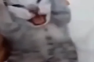 😵