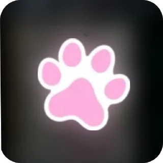 🐾